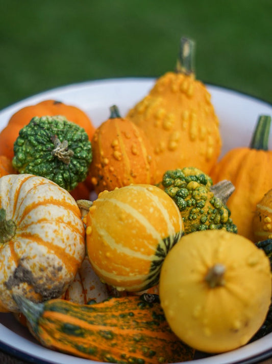 Decorative Pumpkins and Gourds