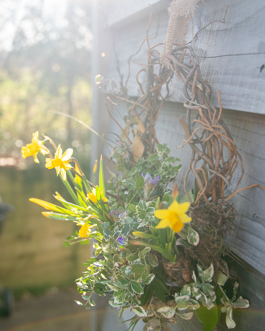 Natural Spring Bulb Wreath