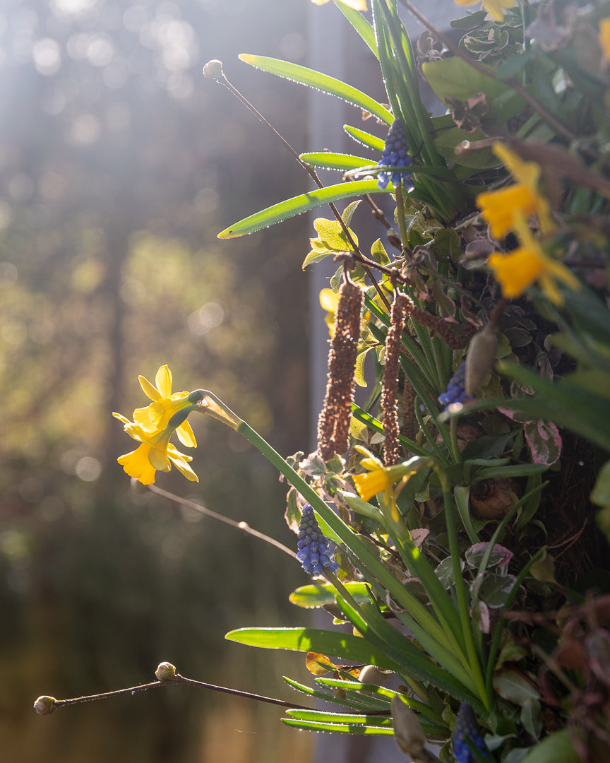 Natural Spring Bulb Wreath