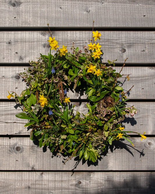 Natural Spring Bulb Wreath