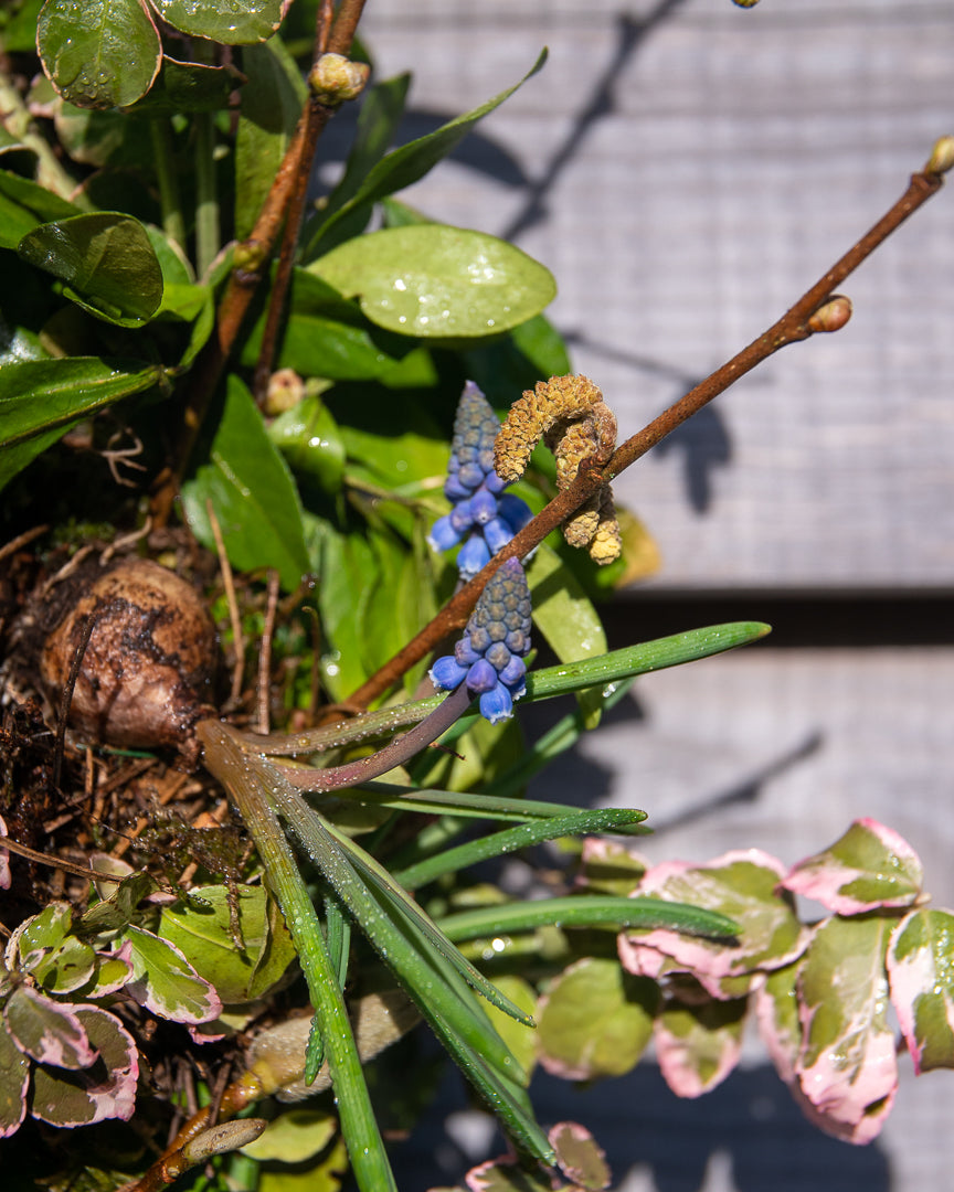 Natural Spring Bulb Wreath