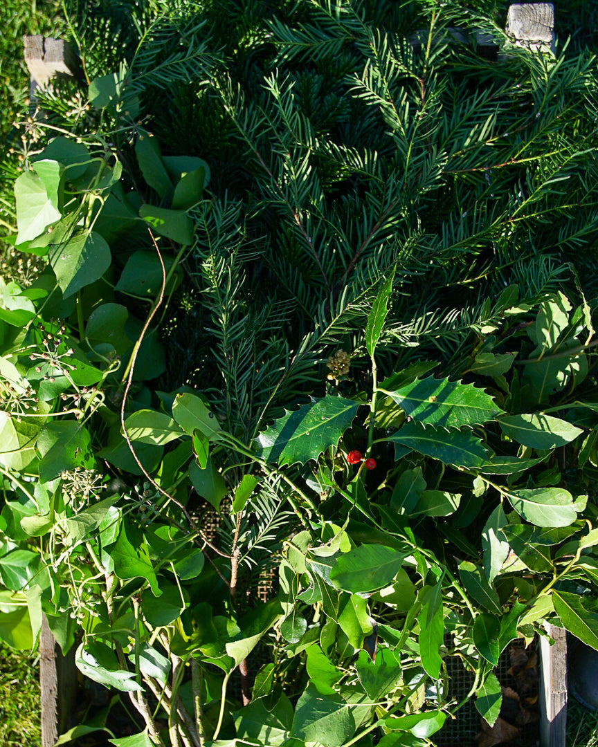 Mixed festive foliage bundle